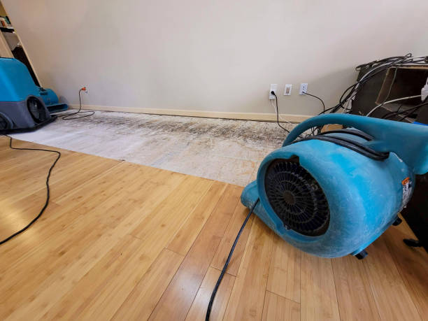 Professional Structural Drying technician working in Red Hill, PA